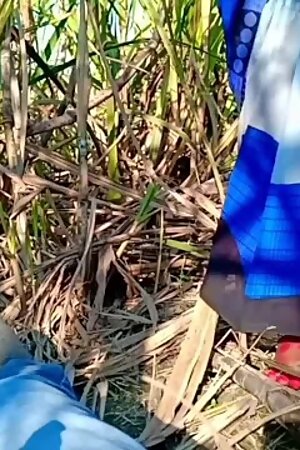 New Indian Desi Village MMS Outdoor Sex Hindi Audio